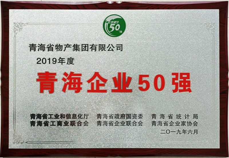 2019年度青海企業(yè)50強